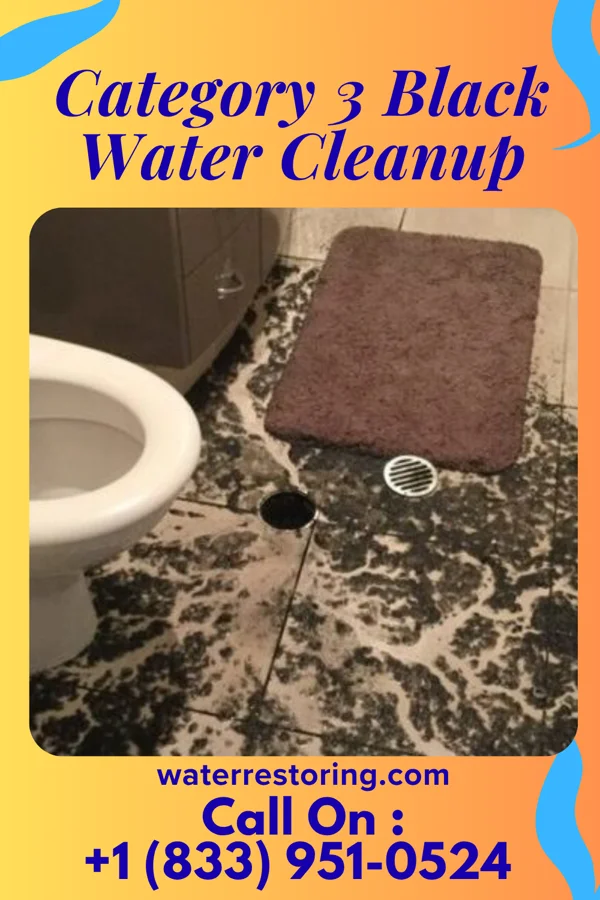 Category 3 Black Water Cleanup in Splendora, TX