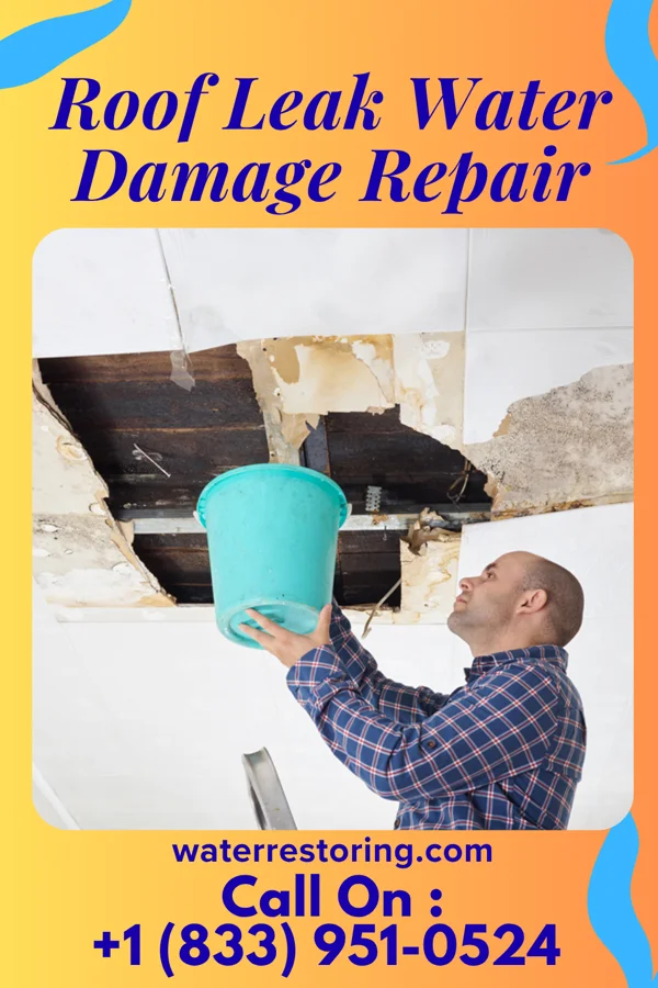 Roof Leak Water Damage Repair in Splendora, TX